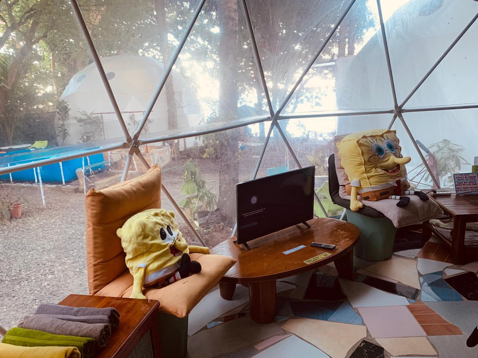 Glamping Dome Dauin Beach Resort Экстерьер фото